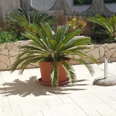 Nettuno